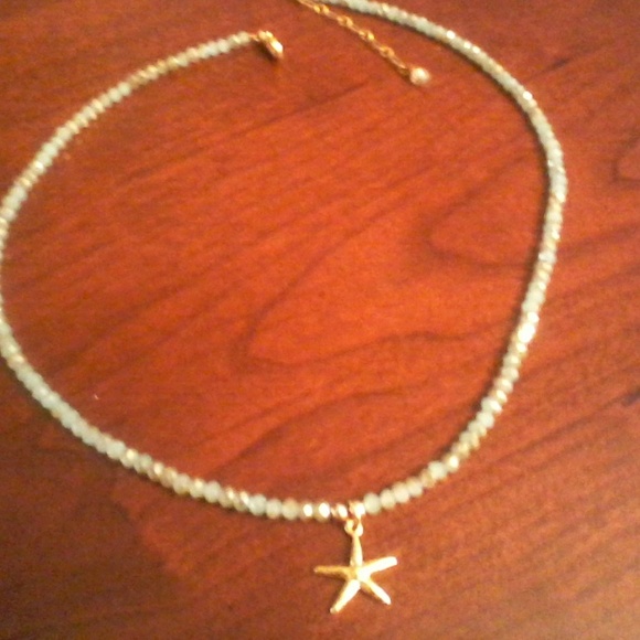 Meet your Posher, Barretta - Picture 2 of 2